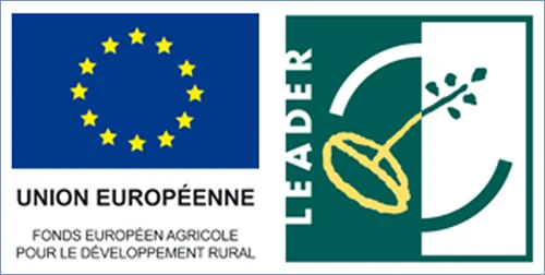 Logo LEADER W500