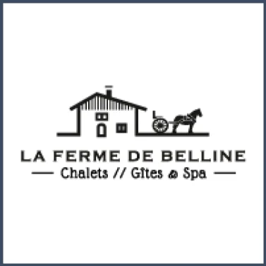 logo site 29